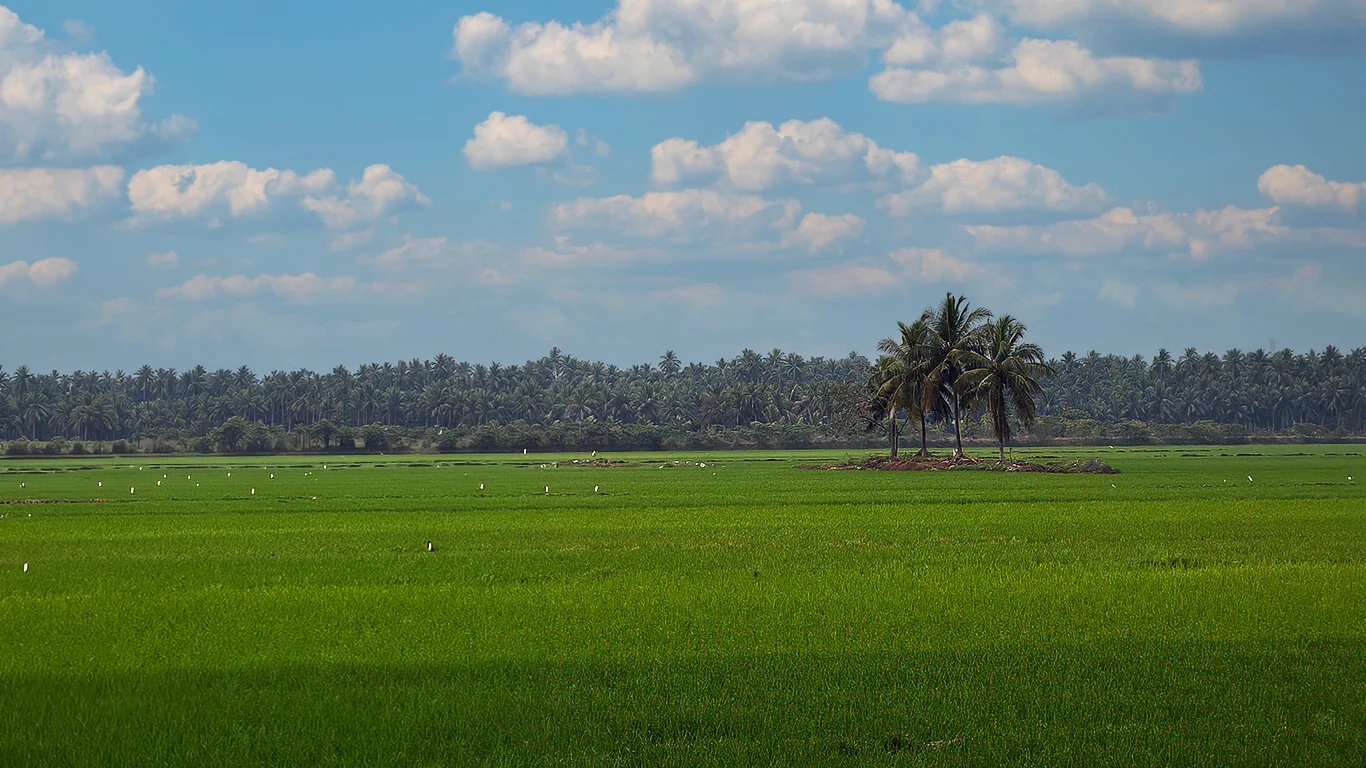 Aerial view of Palem Retreat